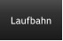 Laufbahn