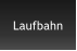 Laufbahn